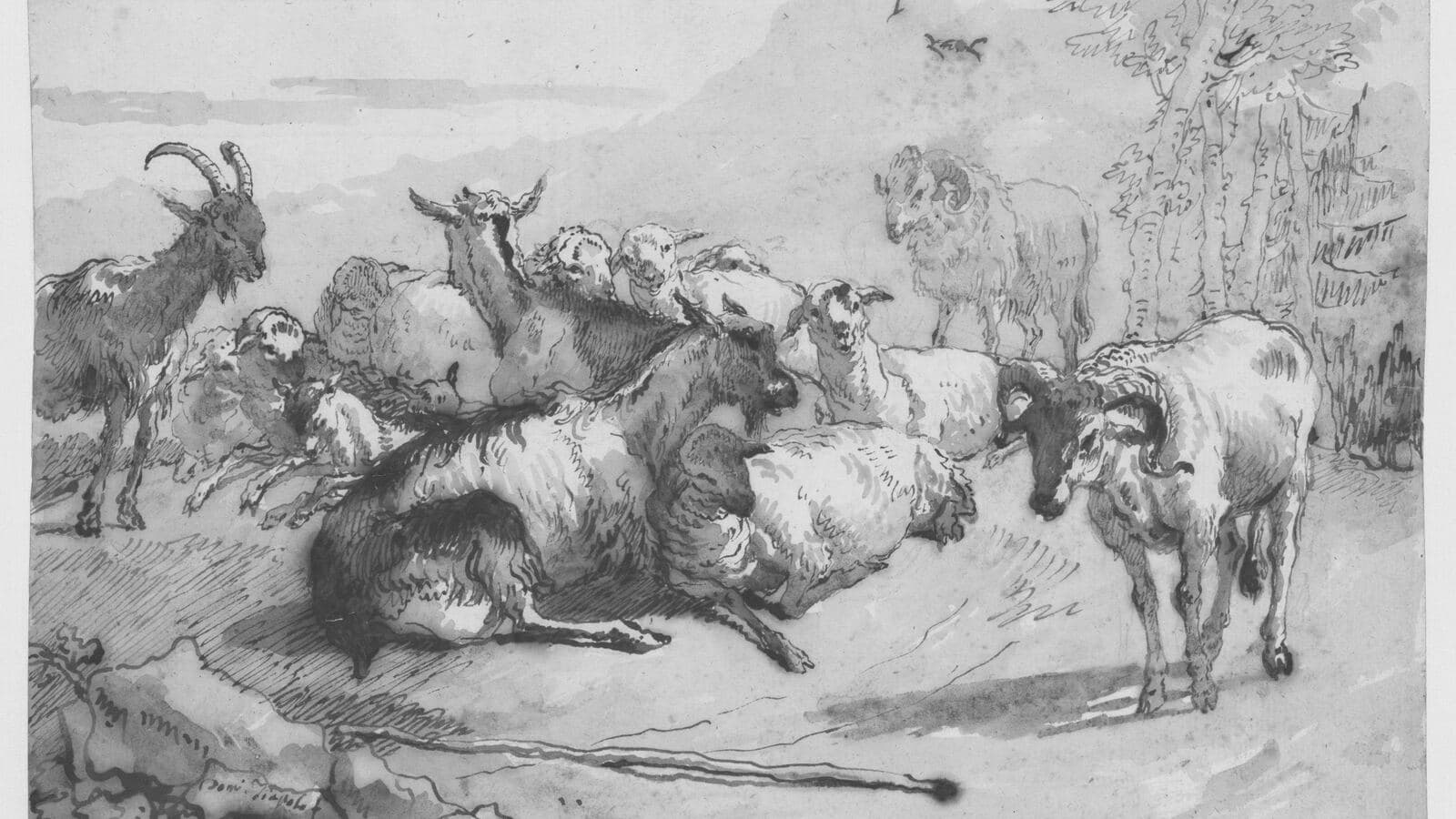 Cabras y ovejas en el campo, dibujo de Giovanni Domenico Tiepolo