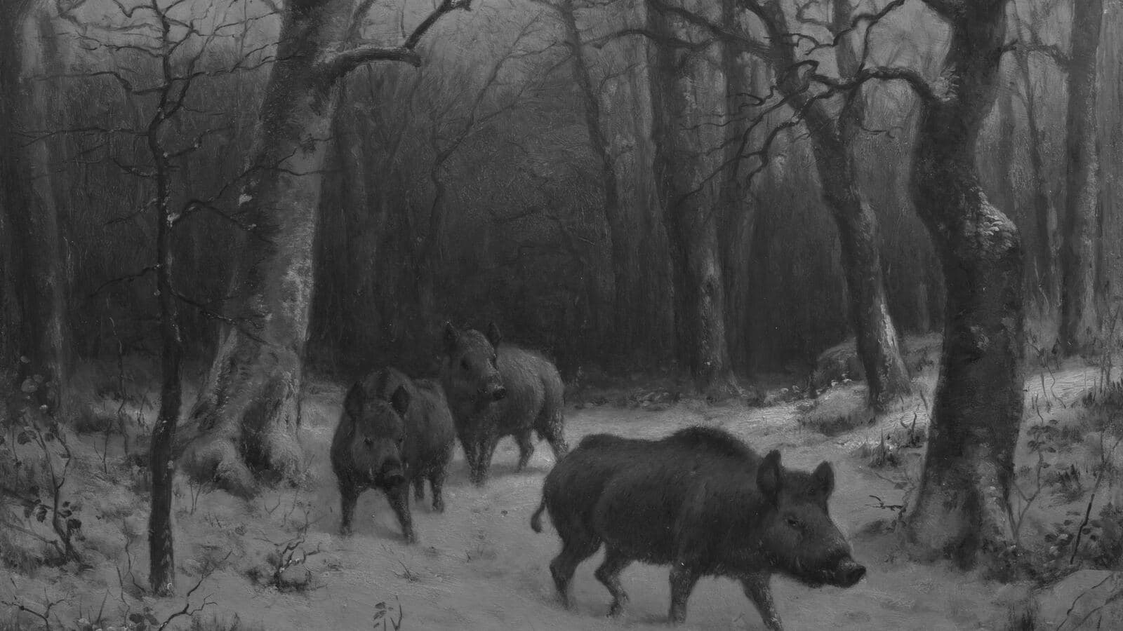 Jabalíes en la nieve, pintura de Rosa Bonheur