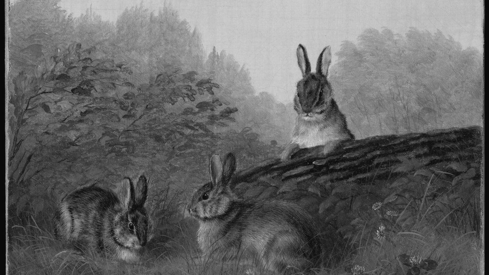 Rabbits on a log, painting by Arthur Fitzwilliam Tait